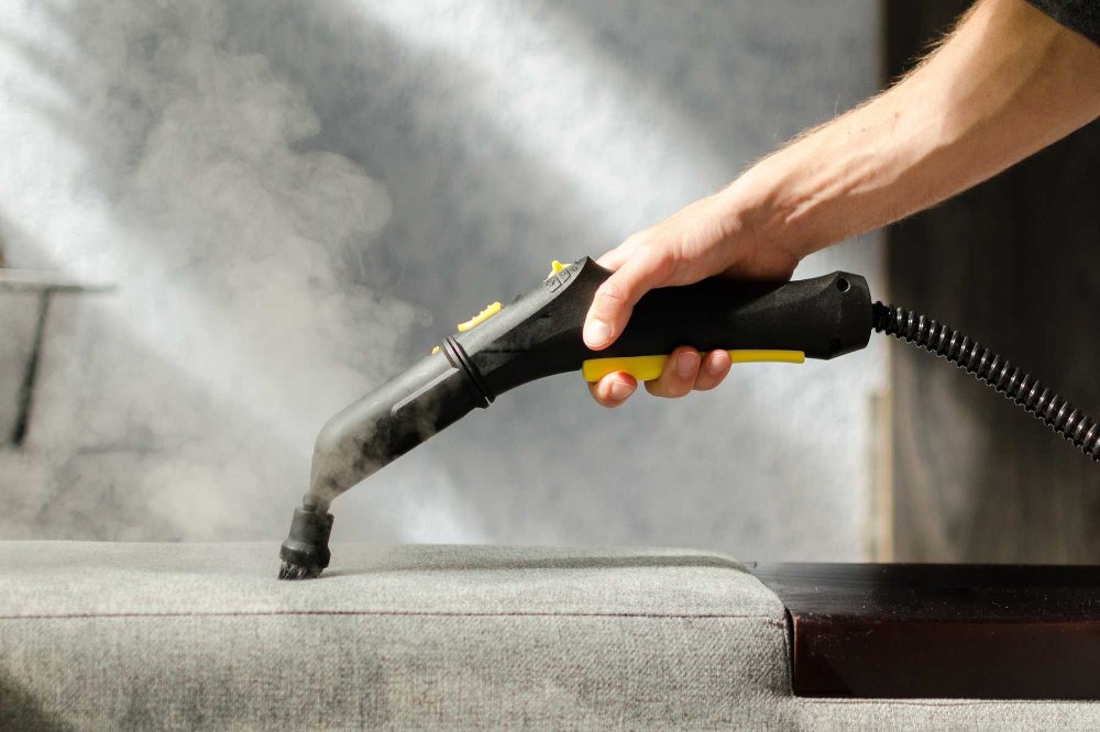 steam cleaning service